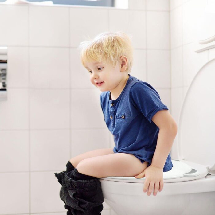 Πτυσσόμενο Κάθισμα Τουαλέτας Babywise - Αρκουδάκι 4 Πτυσσόμενο Κάθισμα Τουαλέτας Babywise - Αρκουδάκι - Image 5