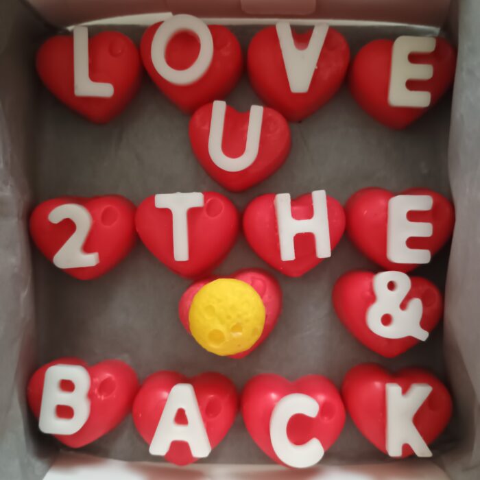 Wax Melts - Love you to the moon & back - Image 4