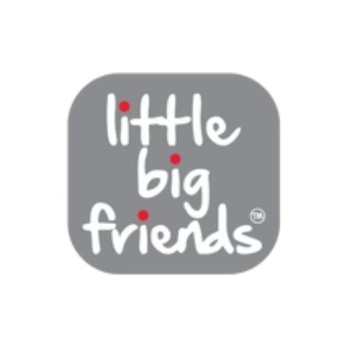 Little Big Friends